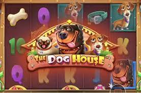 도그하우스 슬롯 최고의 슬롯 게임 도그하우스 슬롯 최고의 슬롯 게임